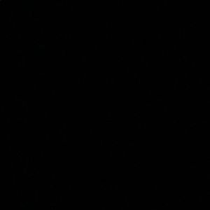 Meet your Posher, Eileen